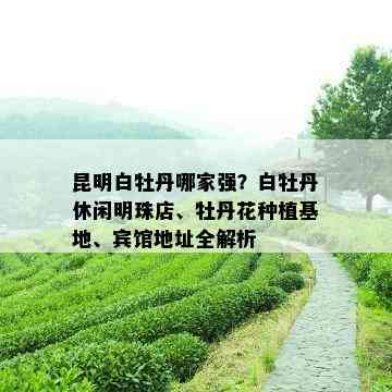 昆明白牡丹哪家强？白牡丹休闲明珠店、牡丹花种植基地、宾馆地址全解析