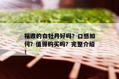 福鼎的白牡丹好吗？口感如何？值得购买吗？完整介绍！