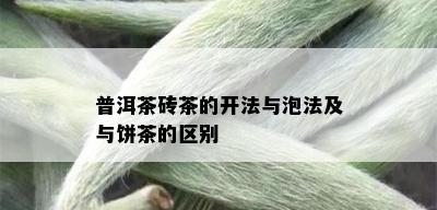 普洱茶砖茶的开法与泡法及与饼茶的区别