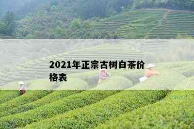 2021年正宗古树白茶价格表