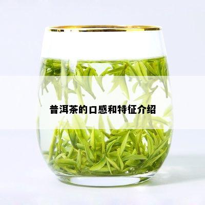 普洱茶的口感和特征介绍