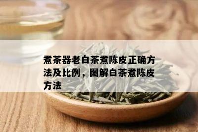 煮茶器老白茶煮陈皮正确方法及比例，图解白茶煮陈皮方法