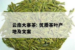 云南大寨茶: 优质茶叶产地及文案