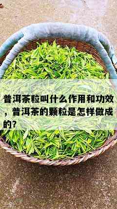 普洱茶粒叫什么作用和功效，普洱茶的颗粒是怎样做成的？