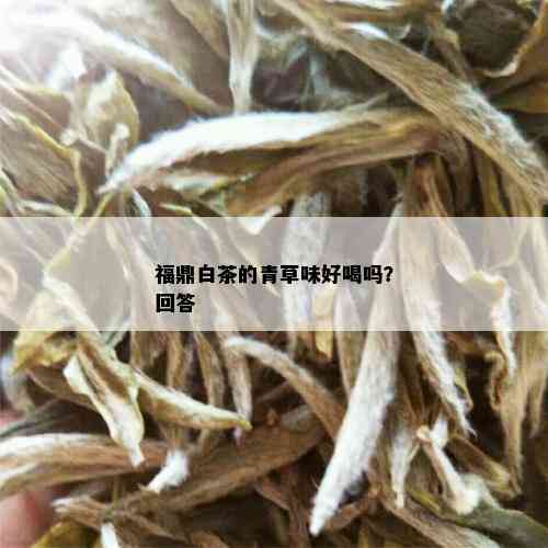 福鼎白茶的青草味好喝吗？回答