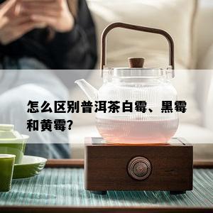 怎么区别普洱茶白霉、黑霉和黄霉？