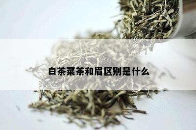 白茶菜茶和眉区别是什么