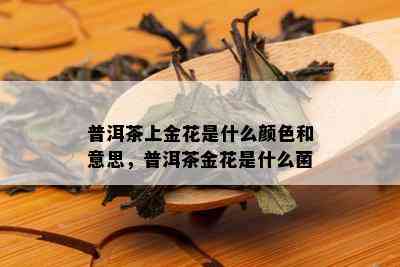 普洱茶上金花是什么颜色和意思，普洱茶金花是什么菌