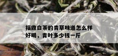 福鼎白茶的青草味道怎么样好喝，青叶多少钱一斤