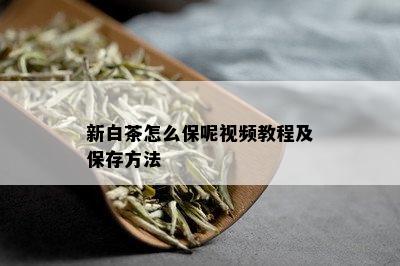 新白茶怎么保呢视频教程及保存方法