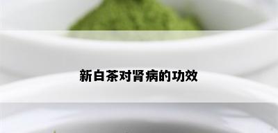 新白茶对肾病的功效