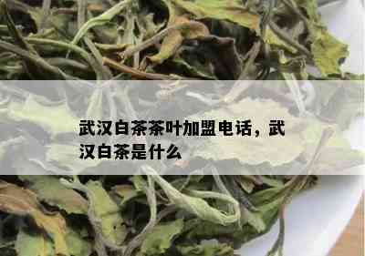 武汉白茶茶叶加盟电话，武汉白茶是什么