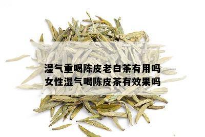 湿气重喝陈皮老白茶有用吗女性湿气喝陈皮茶有效果吗