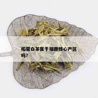 柘荣白茶属于福鼎核心产区吗？