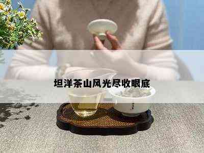 坦洋茶山风光尽收眼底