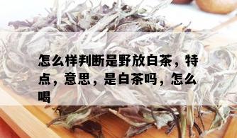 怎么样判断是野放白茶，特点，意思，是白茶吗，怎么喝