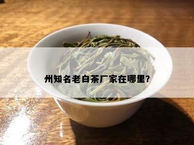 州知名老白茶厂家在哪里？