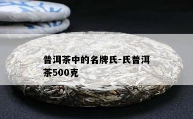 普洱茶中的名牌氏-氏普洱茶500克