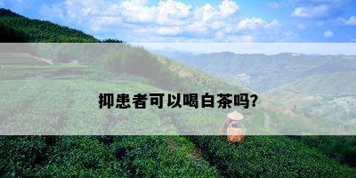 抑患者可以喝白茶吗？