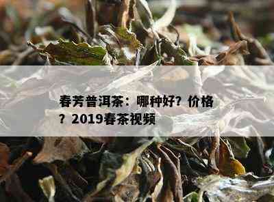 春芳普洱茶：哪种好？价格？2019春茶视频