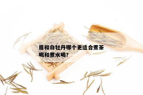 眉和白牡丹哪个更适合煮茶喝和煮水喝？