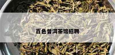 百色普洱茶馆招聘