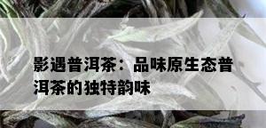 影遇普洱茶：品味原生态普洱茶的独特韵味