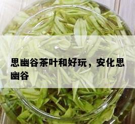 思幽谷茶叶和好玩，安化思幽谷