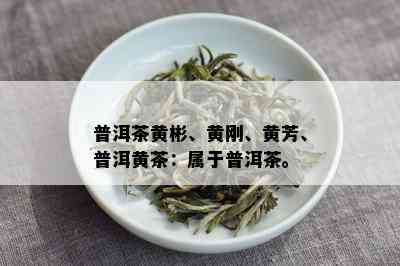 普洱茶黄彬、黄刚、黄芳、普洱黄茶：属于普洱茶。