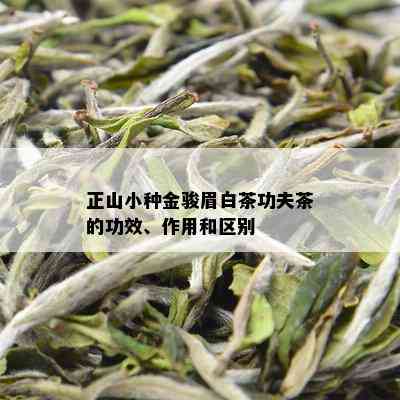 正山小种金骏眉白茶功夫茶的功效、作用和区别