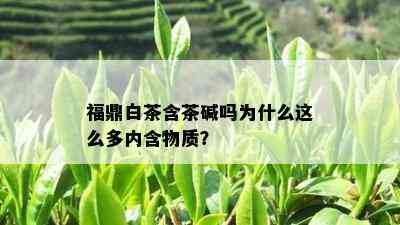 福鼎白茶含茶碱吗为什么这么多内含物质？