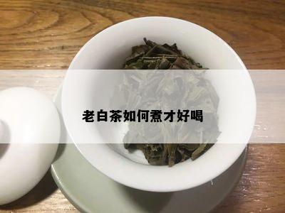 老白茶如何煮才好喝