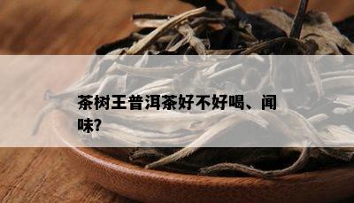 茶树王普洱茶好不好喝、闻味？