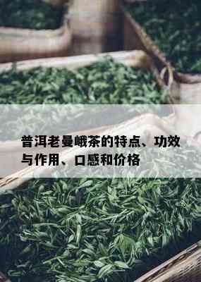 普洱老曼峨茶的特点、功效与作用、口感和价格