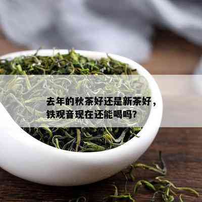 去年的秋茶好还是新茶好，铁观音现在还能喝吗？