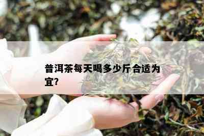 普洱茶每天喝多少斤合适为宜？