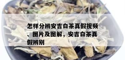 怎样分辨安吉白茶真假视频、图片及图解，安吉白茶真假辨别