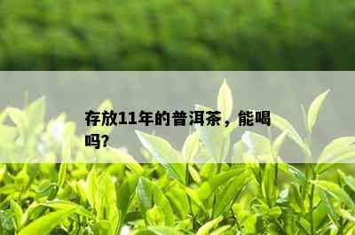 存放11年的普洱茶，能喝吗？