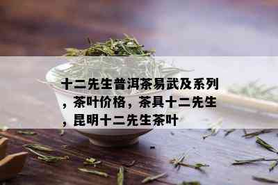 十二先生普洱茶易武及系列，茶叶价格，茶具十二先生，昆明十二先生茶叶