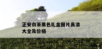 正安白茶黑色礼盒图片高清大全及价格