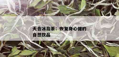 天合冰岛茶：恢复身心健的自然饮品