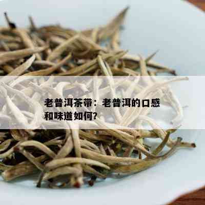 老普洱茶带：老普洱的口感和味道如何？