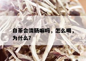 白茶会清肠嘛吗，怎么喝，为什么？