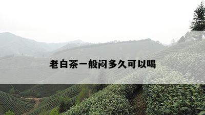 老白茶一般闷多久可以喝