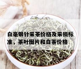 白毫银针采茶价格及采摘标准，茶叶图片和白茶价格