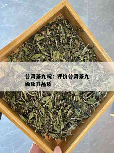 普洱茶九畹：评价普洱茶九级及其品质