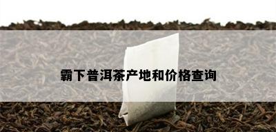 霸下普洱茶产地和价格查询