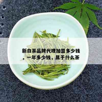 新白茶品牌代理加盟多少钱，一年多少钱，属于什么茶