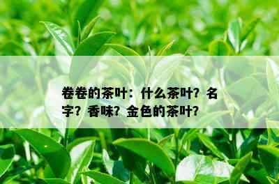 卷卷的茶叶：什么茶叶？名字？香味？金色的茶叶？