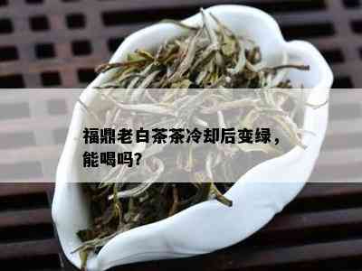 福鼎老白茶茶冷却后变绿，能喝吗？